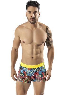 Elemental Boxer Brief Clever Moda Elemental Boxer Brief